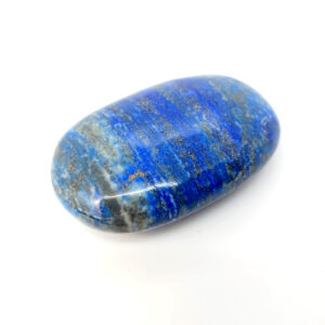 PALM 0205 2